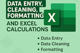 do fast and accurate data entry, cleaning, formatting, calculations in excel