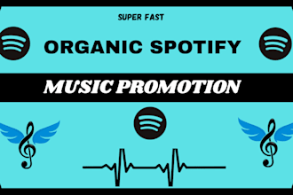 do professional organic spotify music track promotion using ads campaign