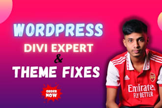do divi expert for wordpress website,theme fixes