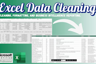 professionally clean, structure, and analyze your data for business success