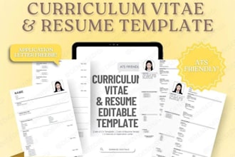 create a professional CV design and writing service