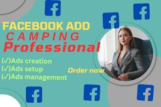 do the best facebook ads  campaign with targeted audience