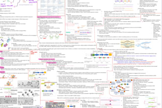 turn messy lectures into clear and pretty study notes