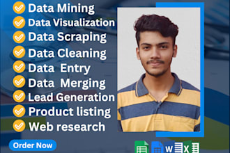 do excel data entry, data mining, data extraction, and data cleaning