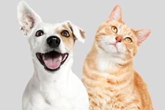 draw pet illustration, dog illustration, cat illustration, pet portrait