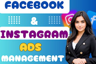 facebook meta ads campaign manager, instagram ads, fb advertising, gig promotion