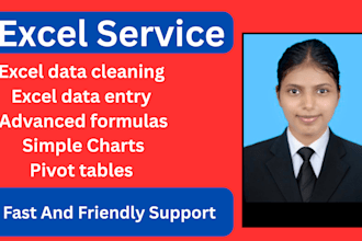 do data entry, clean and automated excel with formulas and pivot tables