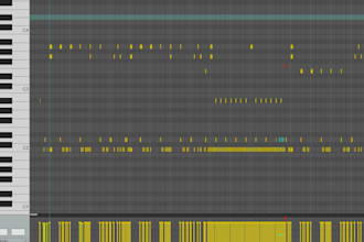 midi programming, drums and bass guitar