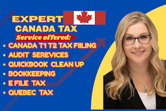 canada, e file tax returns, quickbooks, provide audit service quebec tax as CPA