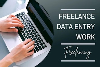 do accurate and fast data entry, and excel data input