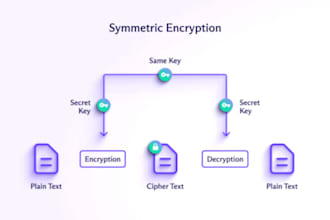 do your cybersecurity, cloud computing, vulnerability, cryptography assignments