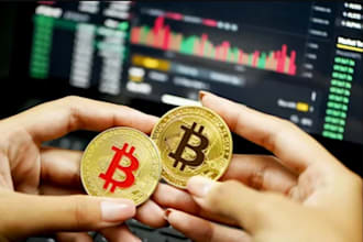 build bitcoin investment site, p2p website, binance clone app