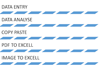be your professional data analyst using excel