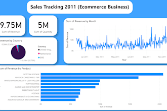create a professional power bi, tableau dashboard for you