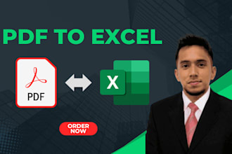 convert pdf to excel