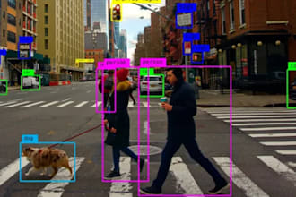 do image annotation, polygon labeling, segmentation using cvat