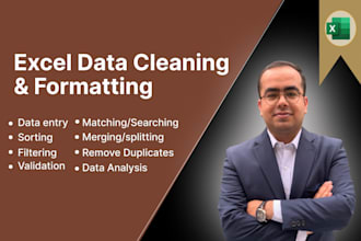 fix, clean, and format your excel file within 24 hours