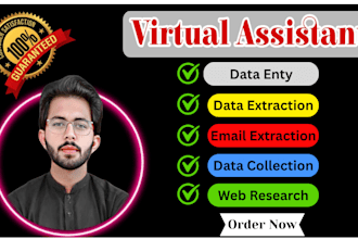 do data entry, data extraction, email extraction and data collection for you