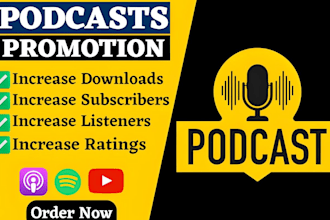 use instagram ads to promote spotify podcast gain streamers spotify promotion