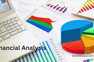 provide a meaningful interpretation of financial and variance analysis