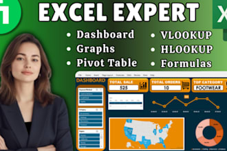 create excel dashboard, charts, pivot tables and graphs