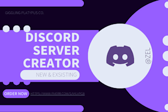 design a fully customized discord server tailored to you