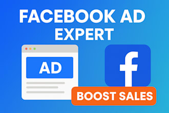 setup facebook ads campaign, fb ads, instagram ads, and meta ads management