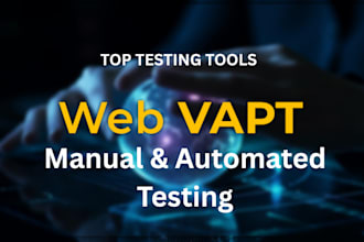 perform professional vulnerability testing for your website
