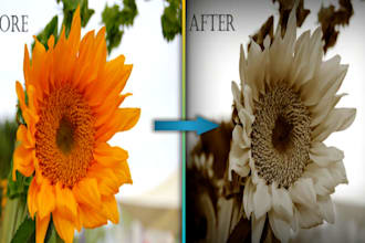 remove unnecessary things from the photoshop and backgrounds