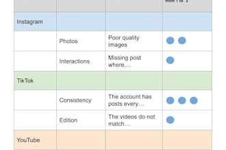 audit your marketing strategy and provide an action plan