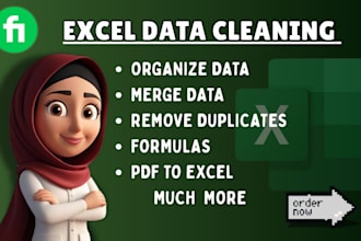 clean, organize, and merge excel data
