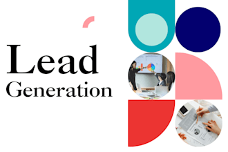 provide local lead generation and run high converting google ads