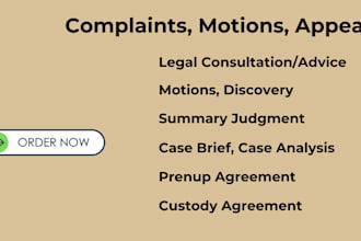 assist self representing litigants with family law cases