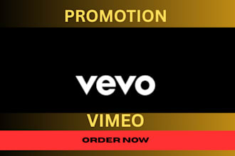 do youtube vevo music video promotion to targeted audience
