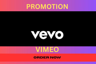 skyrocket organic vevo video promotion USA targeted audience
