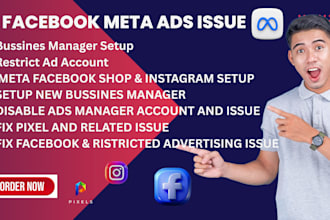set up and manage facebook meta ads campaigns to maximize sales