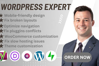 fix wordpress errors, plugin issues, bugs, and cache problems fast