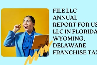 delaware franchise tax file llc annual report for US llc in florida, wyoming,