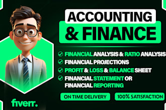 do accounting and finance assignment, financial statement analysis, excel report