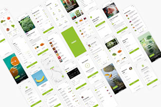 build flutterflow developer flutter flow mobile app development bubble io mvp