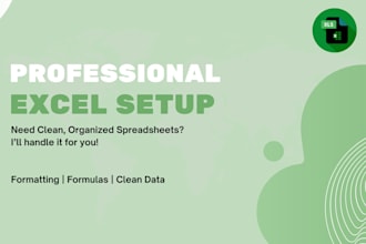 organize, clean, and set up professional excel spreadsheets