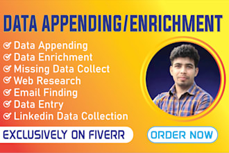 provide accurate data enrichment, email finding, and web research services