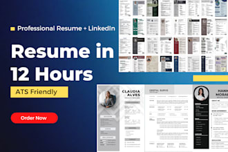deliver a professional ats resume in 12 hour