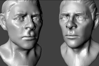 sculpt 3d character model 3d head sculpt 3d bust model 3d face action figure
