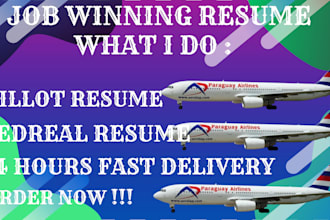 create an expert resumes, pilot, attendant, engineer, amt, cv resume