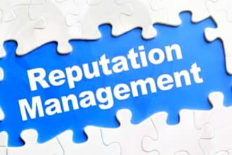do reverse seo, brand reputation, orm, remove mugshot, management