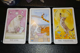 provide intuitive tarot reading, healing, and soul guidance