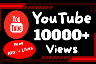 do your organic youtube video views promotion