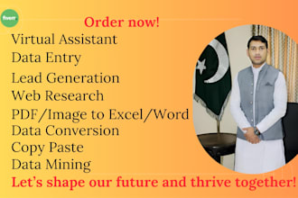 do data entry in low price and data entry web research
