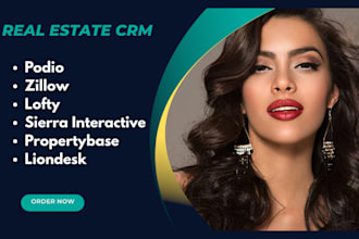 setup podio, zillow, lofty, sierra interactive, propertybase, liondesk